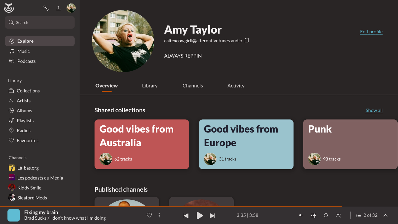 Mockup features a new public user profile, a new dark theme, the navigation pane on the left, and the player at the bottom. The profile is filled with photos and name of the punk singer Amy Taylor, and the player is currently playing 